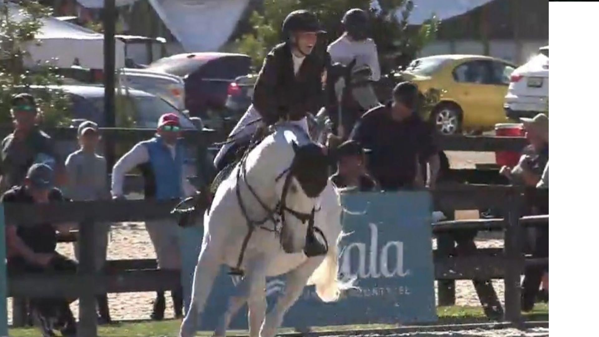 Morgane Qualls Wins the $24,500 John Deere Grand Prix at HITS Ocala