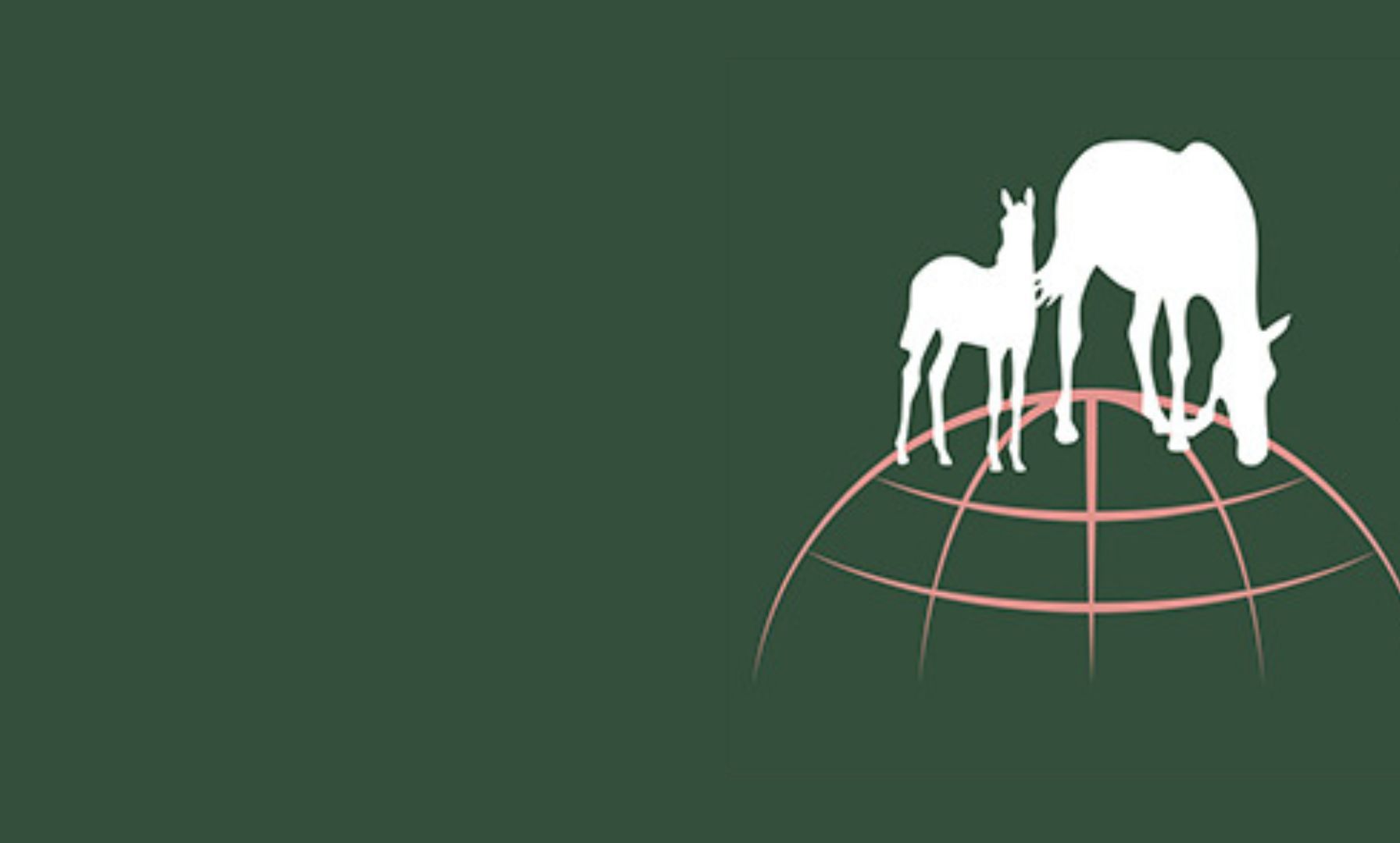 Monatliche WBFSH-Rankings 2025 starten