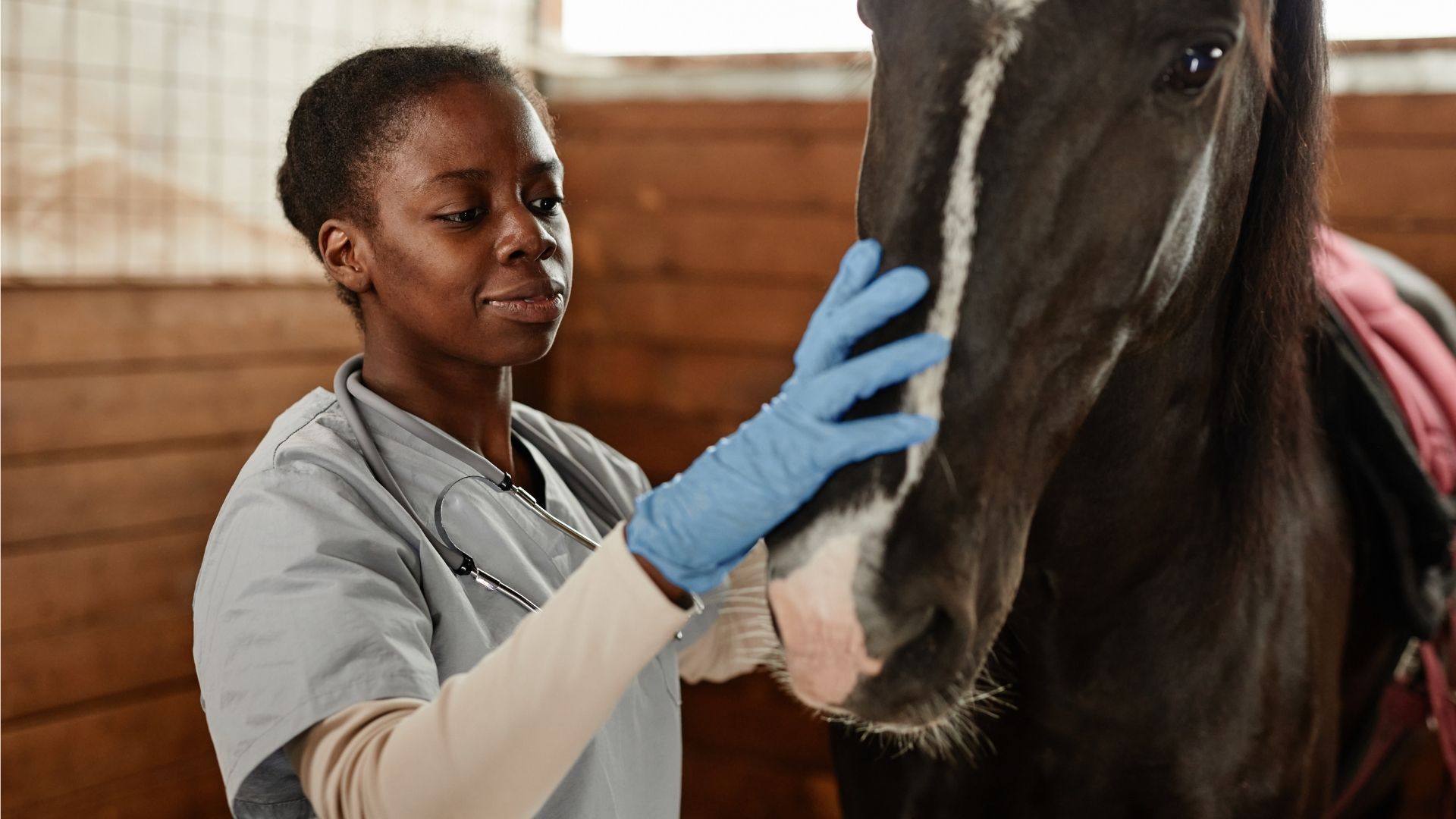 Fortbildung zur tierärztlichen Turnierbetreuung in Warendorf