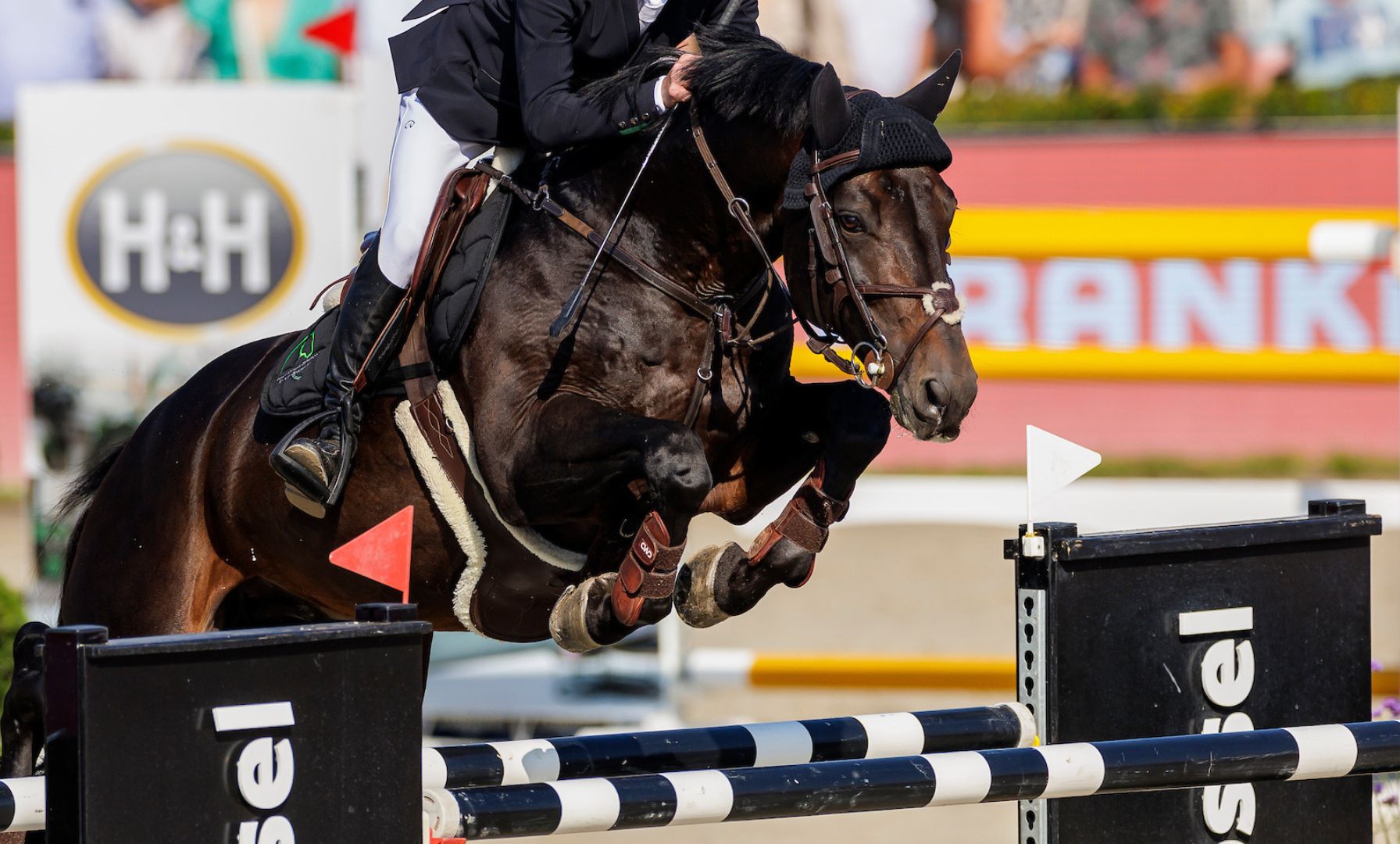 JJ Torano Receives Show Jumping Hall of Fame Rider of the Month Award