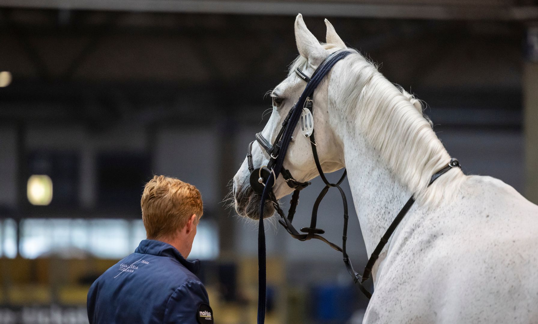 Championship Begins in Basel with Veterinary Inspection