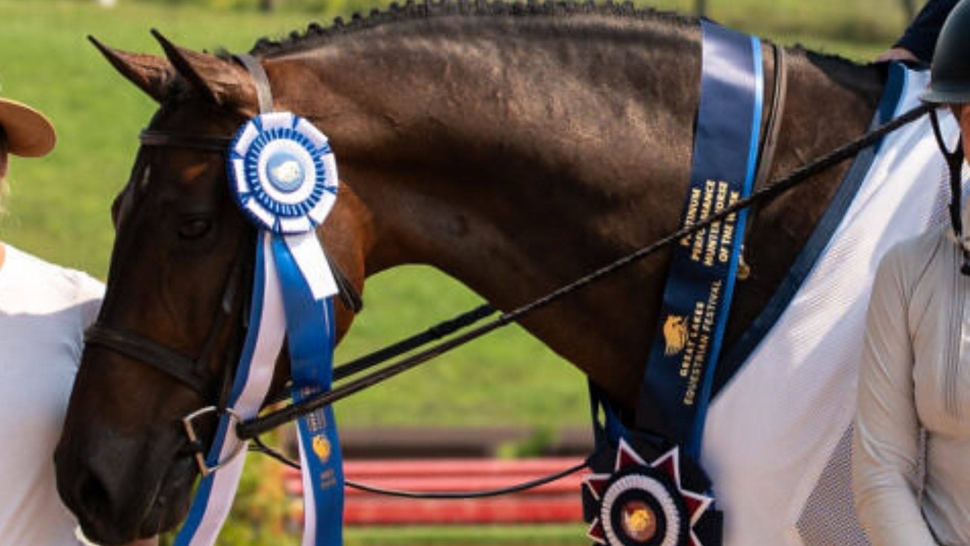 Kendall Casaccio and Freya D’Ambel Dominate in NAL Adult Hunter Finals