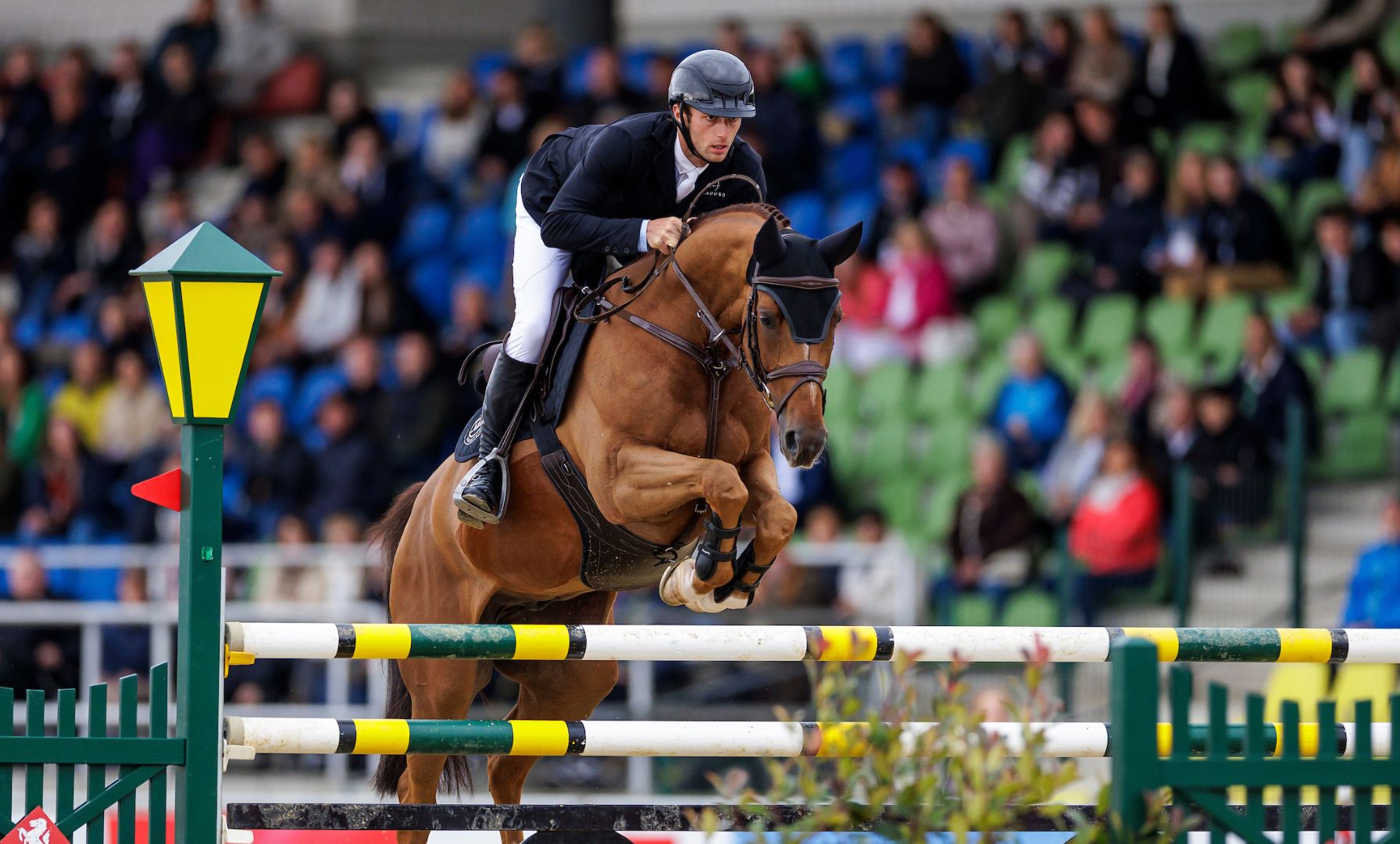 German Show Jumper Richard Vogel Sells Cydello to Katrin Eckermann