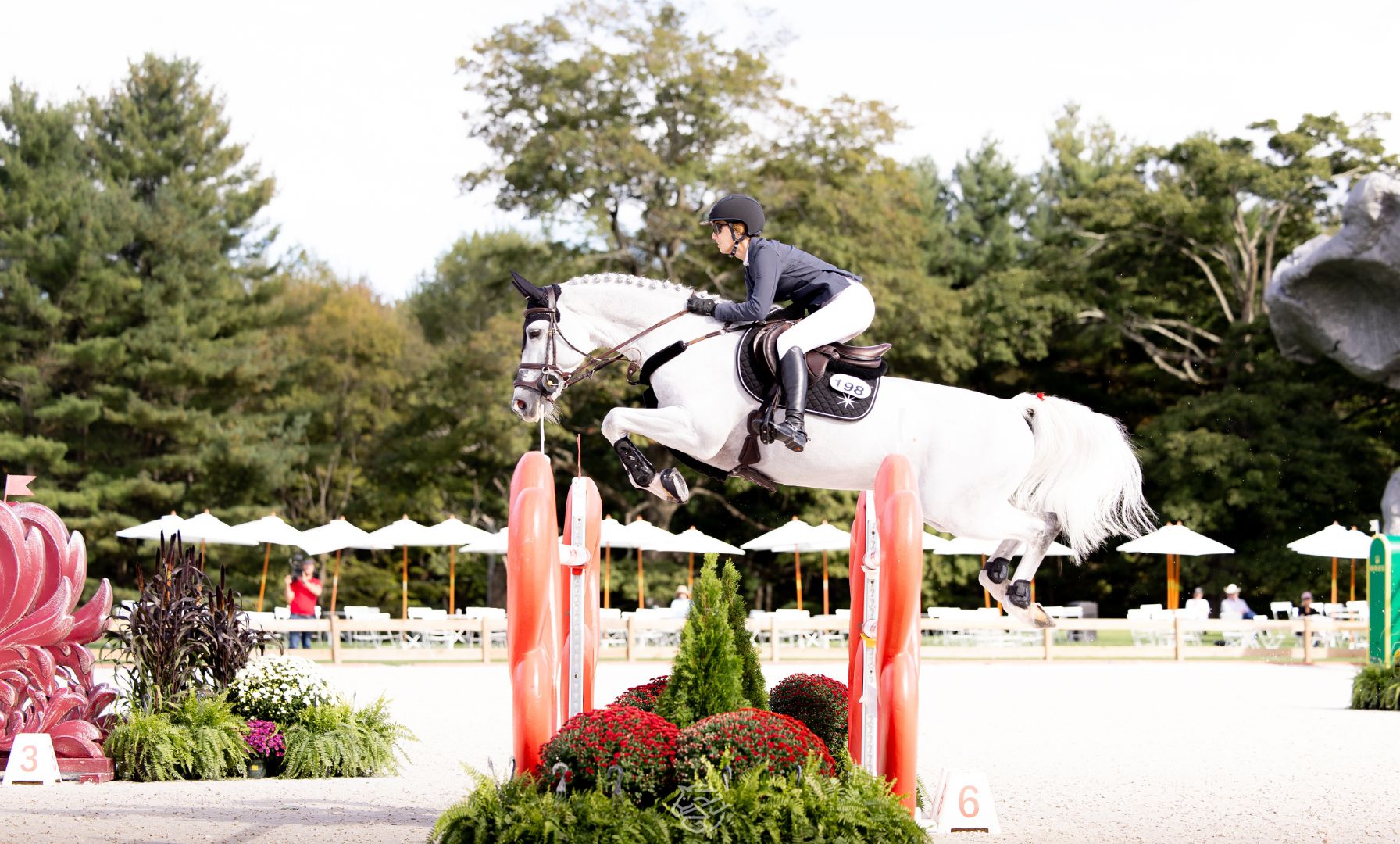 Major League Show Jumping Team Standings