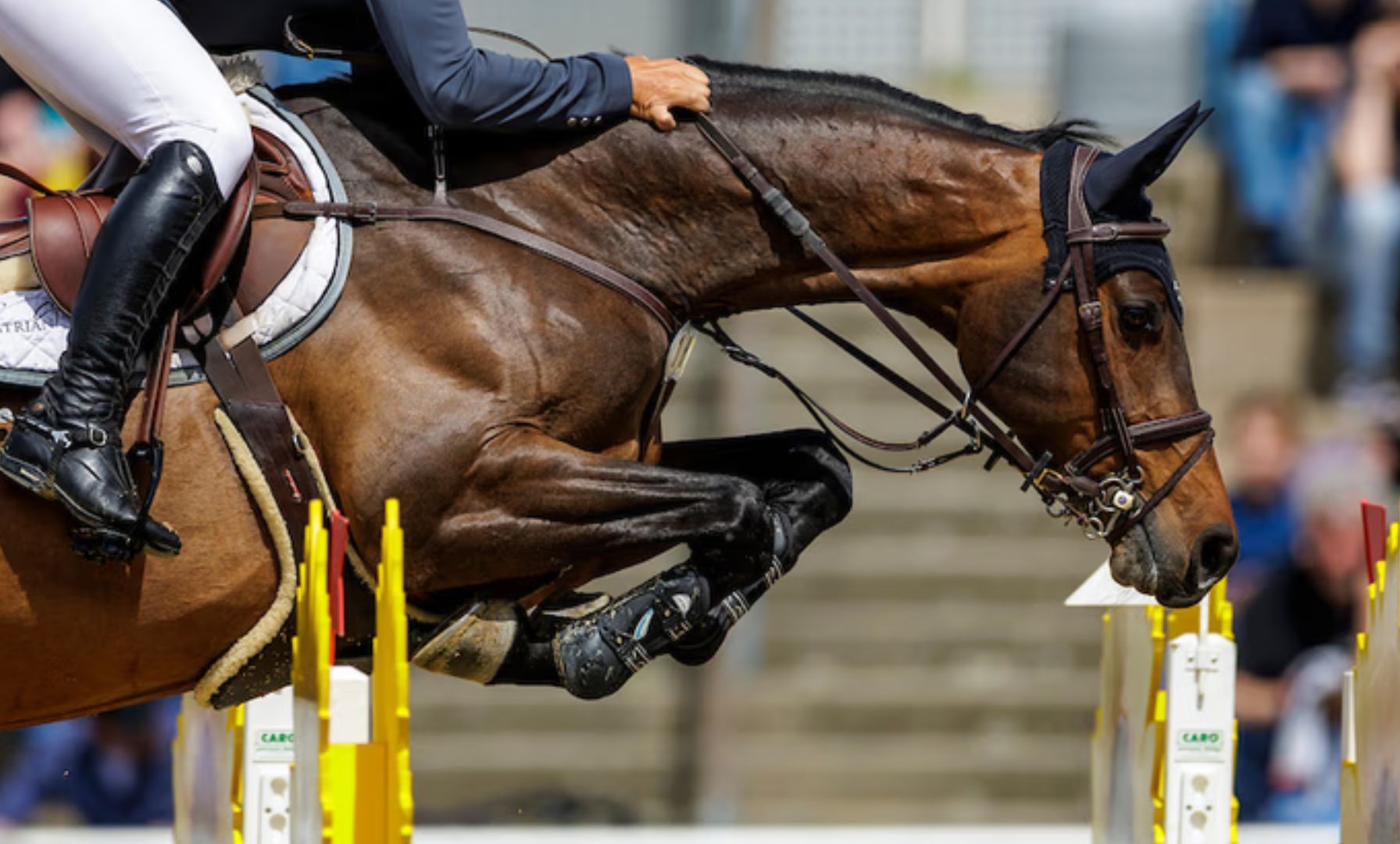 Jordan Coyle Wins $135,000 Old Salem Farm Grand Prix