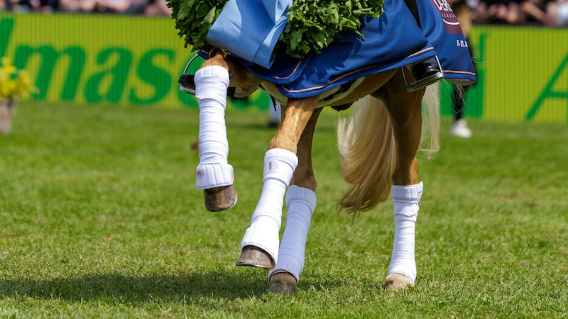 Bundesnachwuchschampionat der Pony-Dressurreiter 2025 in Darmstadt-Kranichstein