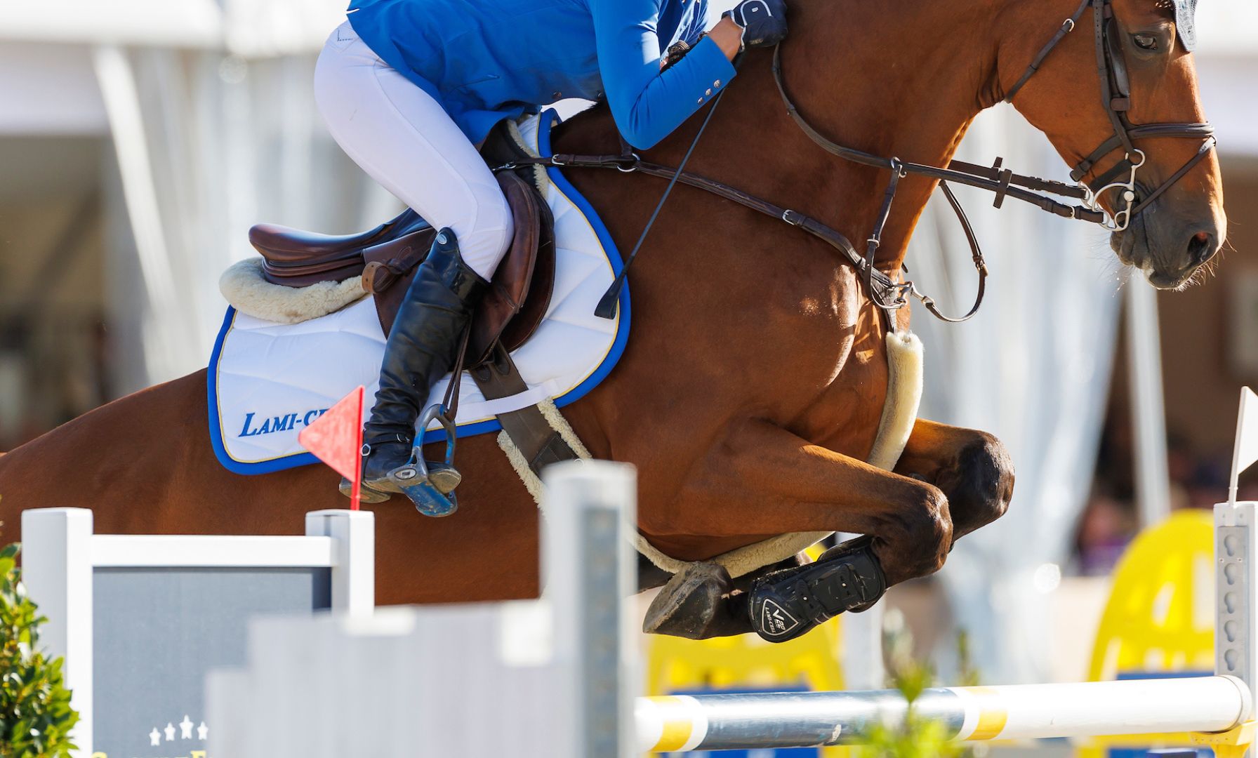 Amy Krebs and Jabantos Dominate $30,000 Brownland Grand Prix Spring I