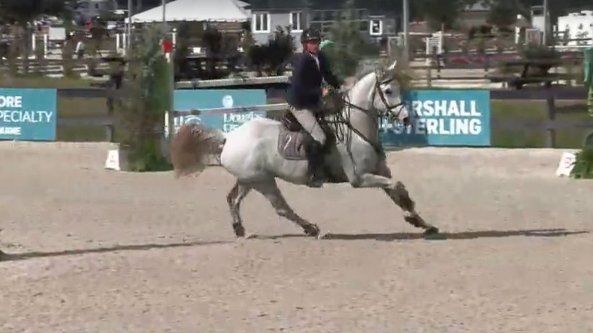 Jared Petersen Aboard Zechariah Speeds to a Win at HITS Ocala