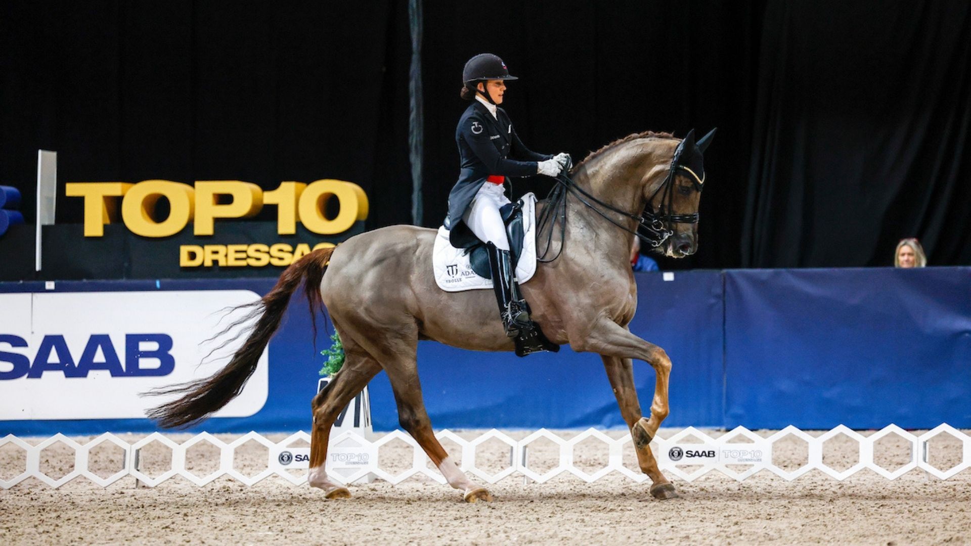 Keine Top-10 Prüfung im Rahmen der Stockholm International Horse Show Sweden in diesem Jahr!