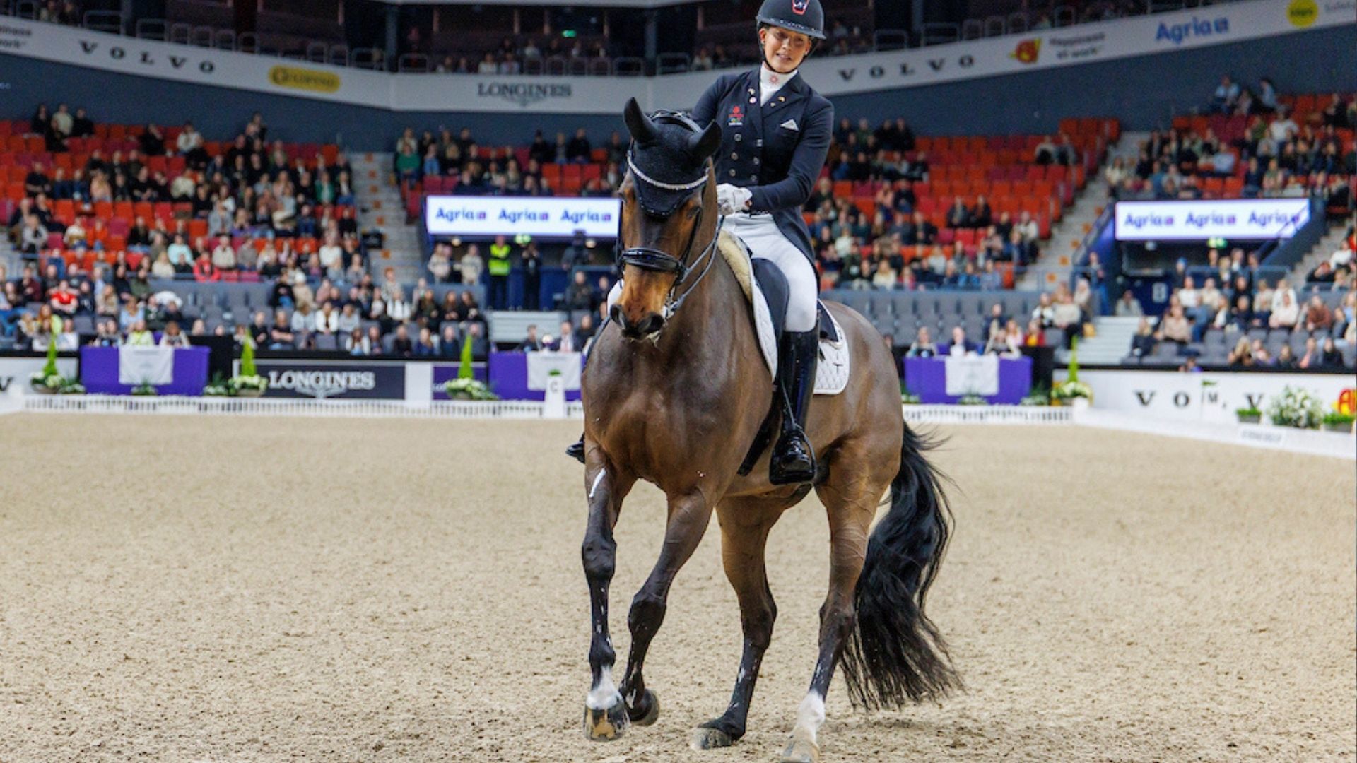 Triumph in Herning für Cathrine Laudrup-Dufour und Mount St. John Freestyle