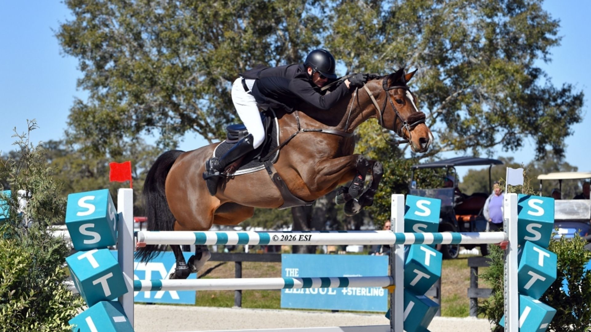 Matthias Hollberg Finishes on Top in the $60,000 HITS Grand Prix