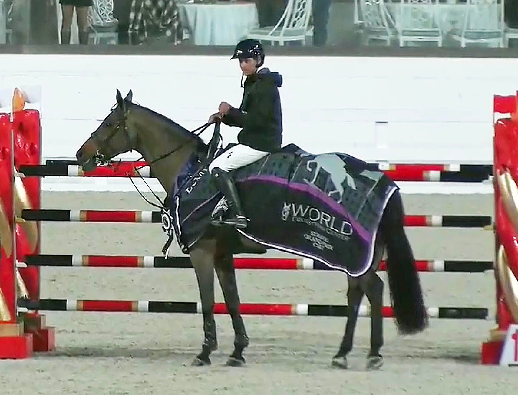 Ilan Bluman on Acajou wins $120,000 CSI3* Grand Prix at Ocala