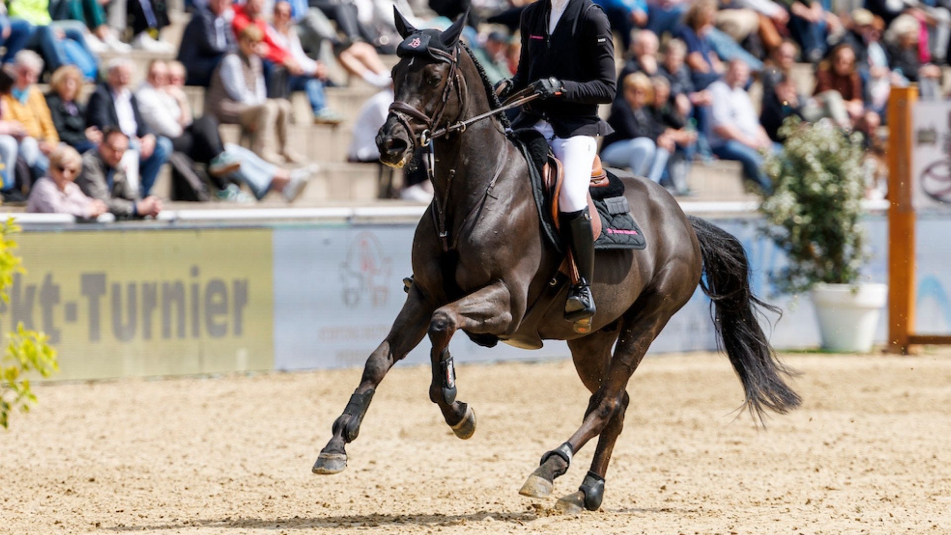 Richard Vogel und Michael Duffy sichern Sieg bei der Major League Show Jumping in Mill Spring