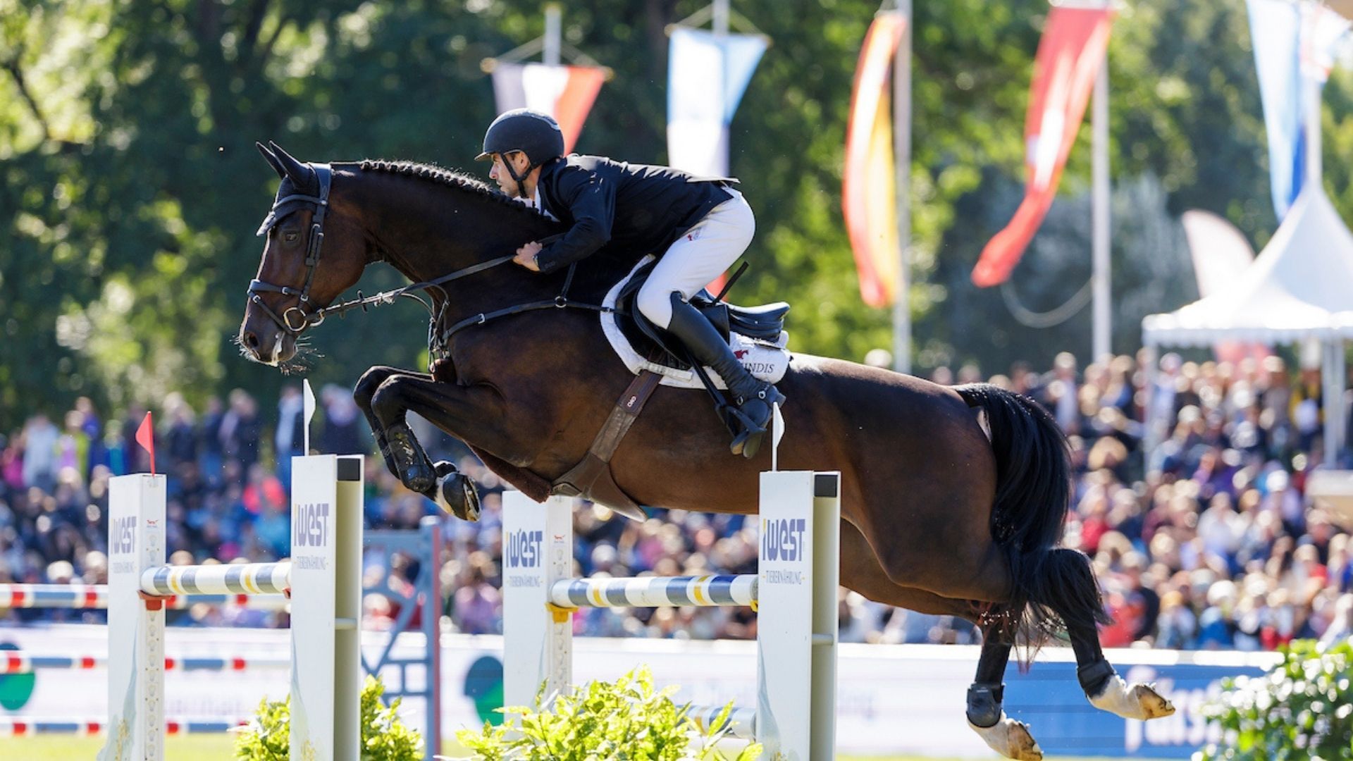 Michael Viehweg erneut erfolgreich auf Grand Prix-Niveau