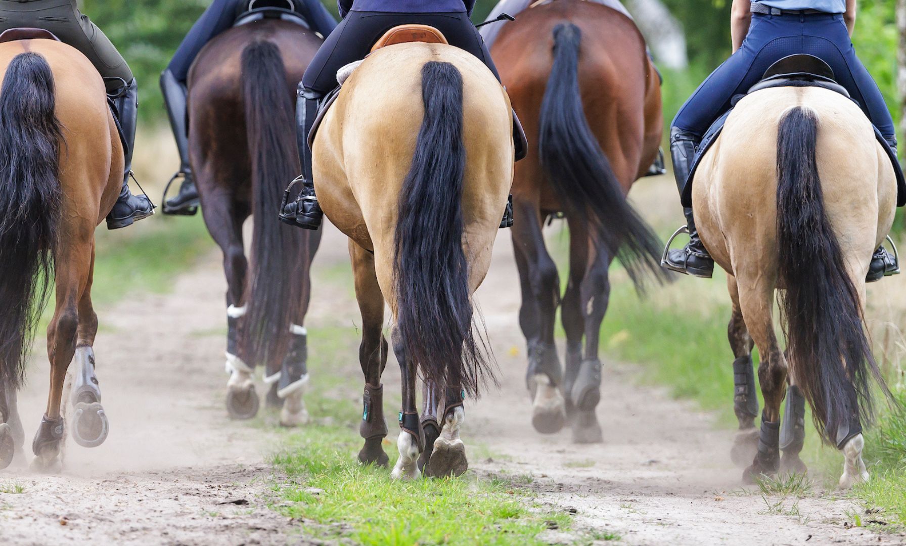 USHJA Announces Dates for 2025 Hunter Championships