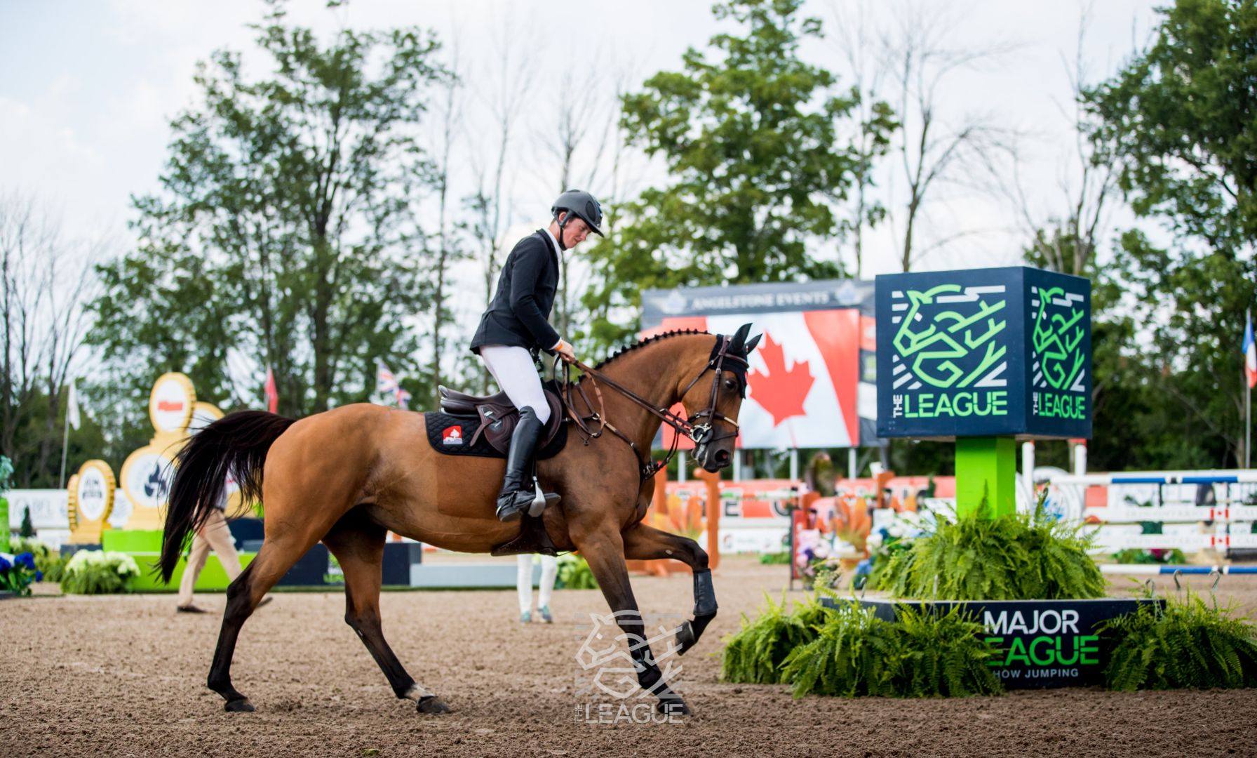 CSI5* Major League Show Jumping Angelstone Approaches with Intense Rivalries Set to Ignite