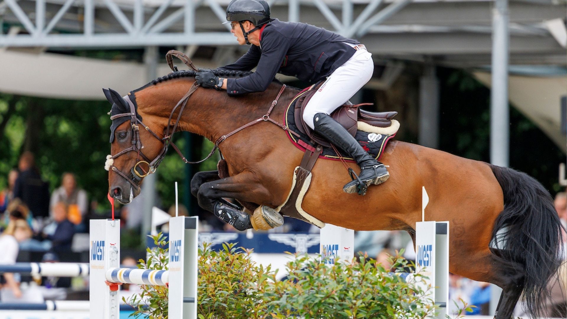 Platz 5 für Harm Lahde beim CSI4* in Vejer de la Frontera