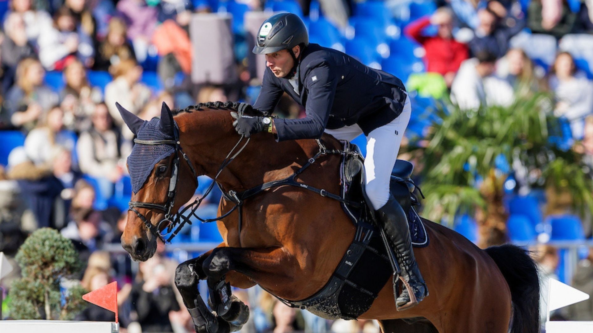 Bordeaux, Wellington, Ocala und Riesenbeck: Wer startet wo in dieser Woche?