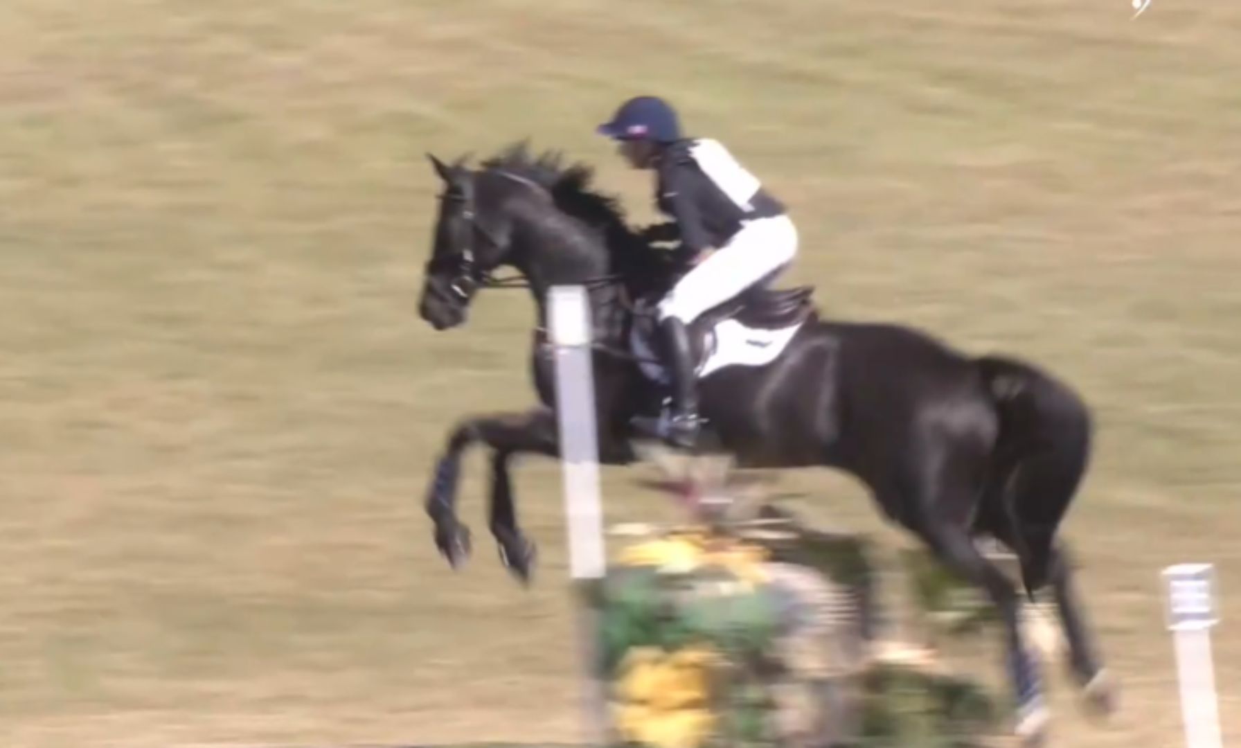 Sydney Elliott & QC Diamantaire Top Overnight Leaderboard