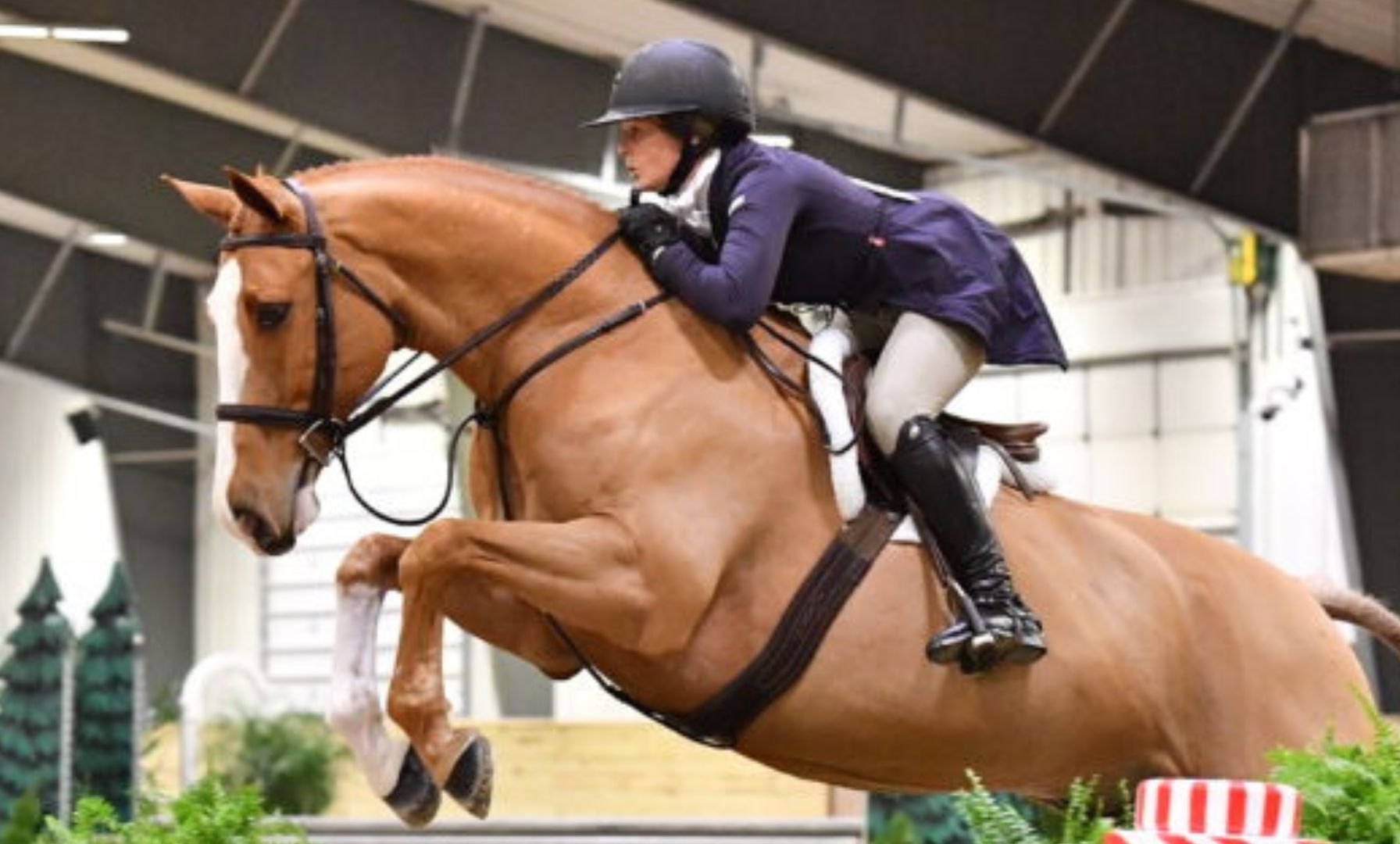USHJA introduces new quiz competition for college riders