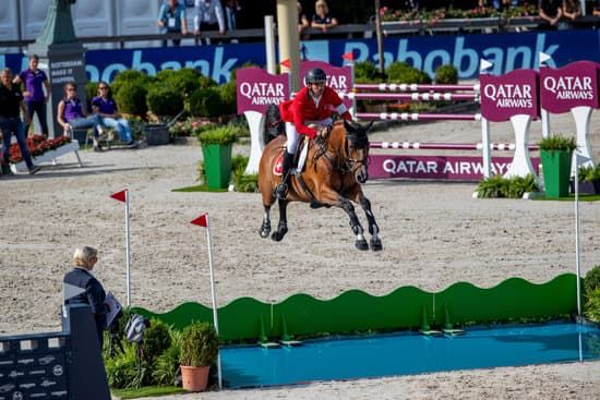 STEVE GUERDAT - The path of success