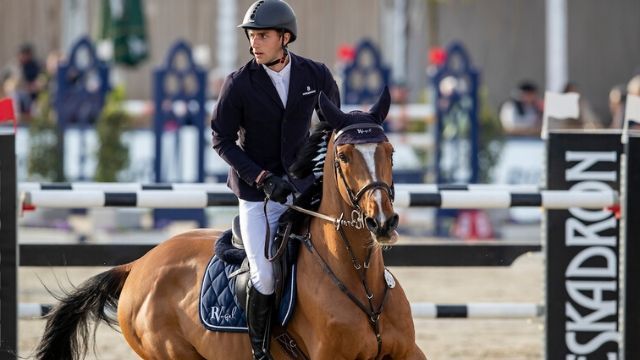 Die Erfolgsstory von Richard Vogel