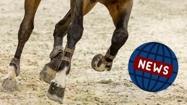 ClipMyHorse.TV - News