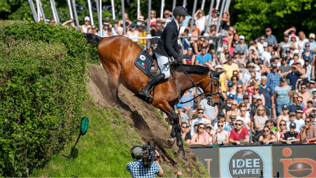 Sieger Deutsches Spring- und Dressur-Derby Hamburg