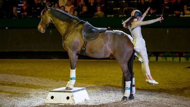 Eure Blogger in unserer Mediathek!