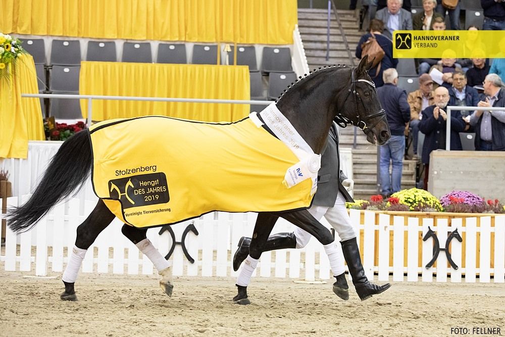 Ausgezeichnete Vererber!