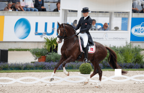 Daniel Bachmann Andersen - Manden med hingstene