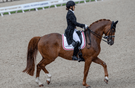 Alle Herning's Freestyle vindere!