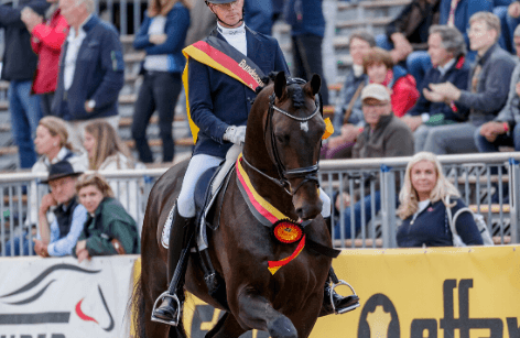 De bedste unge heste