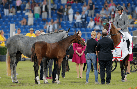Supermütter - Diese Stuten sind nicht nur im Sport erfolgreich!