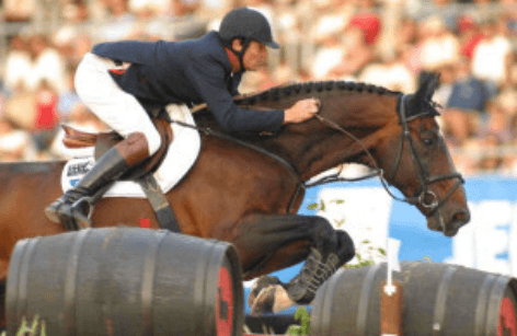 Fences Ventes Elite 2019- Diamant de Semilly