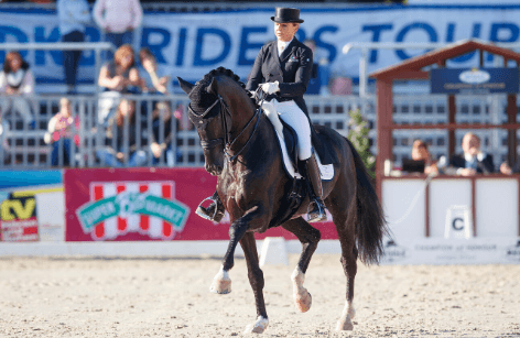 Årets hingst 2020 - Sezuan