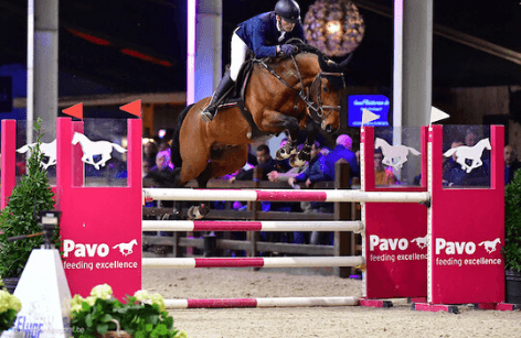 PAVO Hengstencompetitie beste 7j uit 2019/20