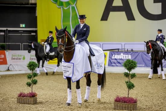 Victories of Dorothee Schneider