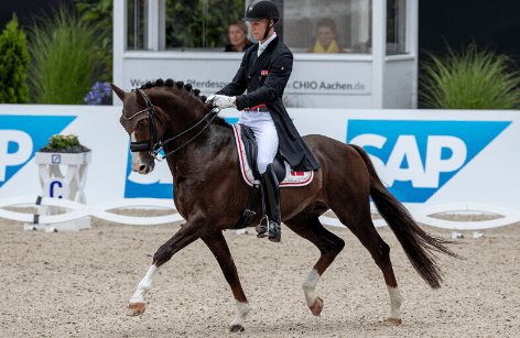 Daniel Bachmann Andersen- It is only Me and the Horse