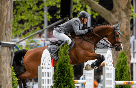 Ludger Beerbaum- Accurate Riding and intelligent Training