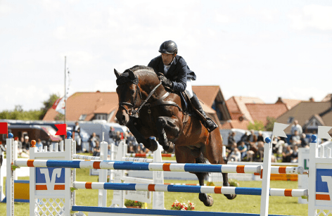 Holger Wulschner- Successful Horses