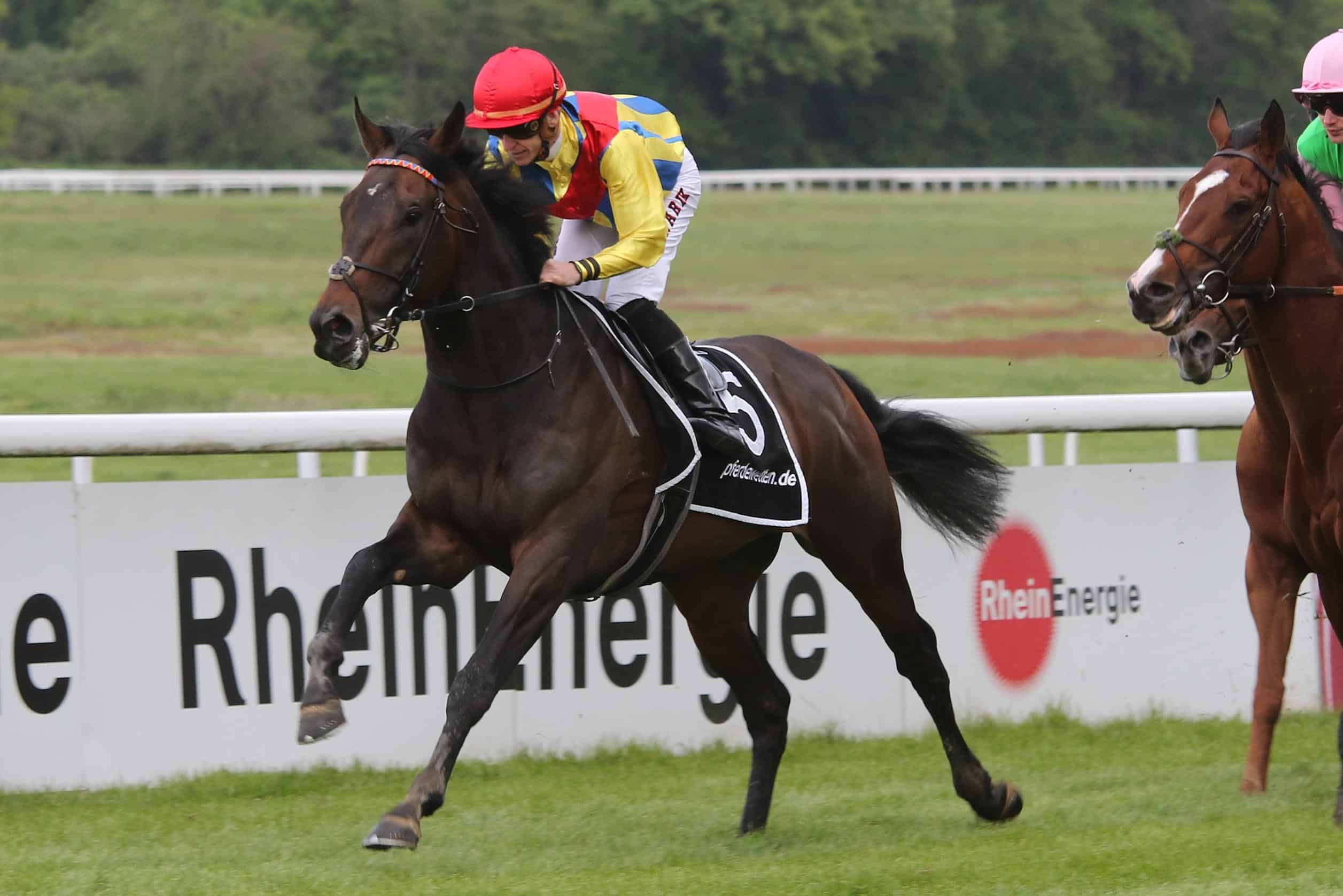 Die neue Marke Deutscher Galopp!