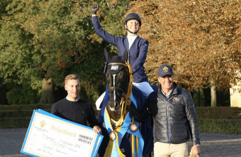 Sveriges bedste springheste