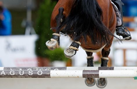 Legenden aus dem Springparcours