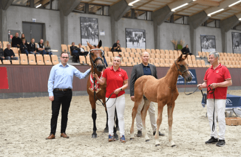 Blue Hors Følchampionat