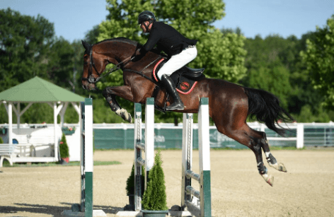 Der Meister des Racino Grand Prix