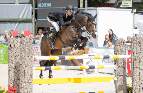 Hallenvielseitigkeit - Pferd Wels 2020