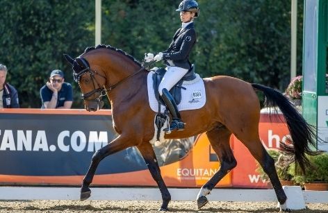 WM der jungen Dressurpferde - 6-jährige