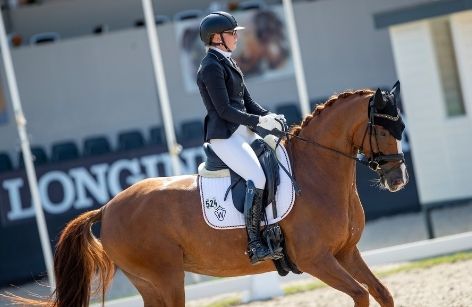 WM der jungen Dressurpferde - 7-jährige