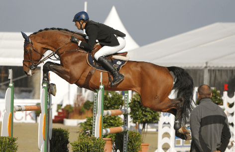 Chacco-Blue en tête du classement WBFSH!